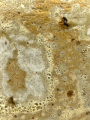 50 shop wazon magma detal IMG_4651.png