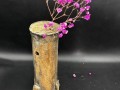 IMG_1140 iki ike1.jpg