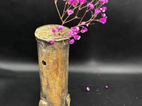 IMG_1140 iki ike1.jpg