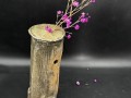 IMG_1141 ikeba1.jpg