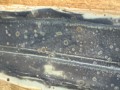 DJI_20241229_130239_359.JPG