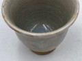 IMG_1376 hata zori.jpg