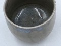IMG_1367 goki gata.jpg