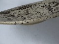 IMG_1728 talerz zimowy las.jpg