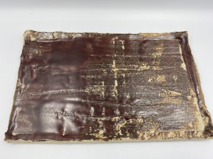Płytka 23 cm. Raw tuna. Wild.