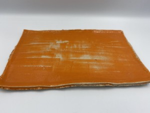 Płytka prostokąt. Yuzu carrot. Wild.