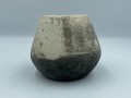 IMG_5700 raku 275 wcięte.jpg