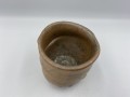 IMG_6100 fire 18 6 metl cup.jpg
